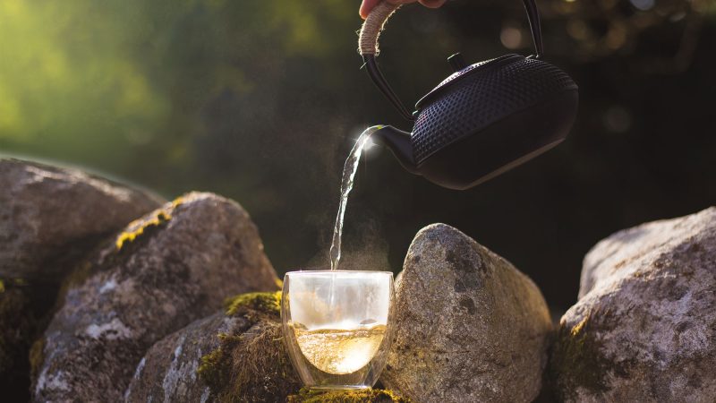 Solaris-Tea-by-Julia-Dunin-Photography-167
